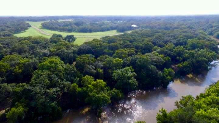 223 River Tree Drive - Photo 1