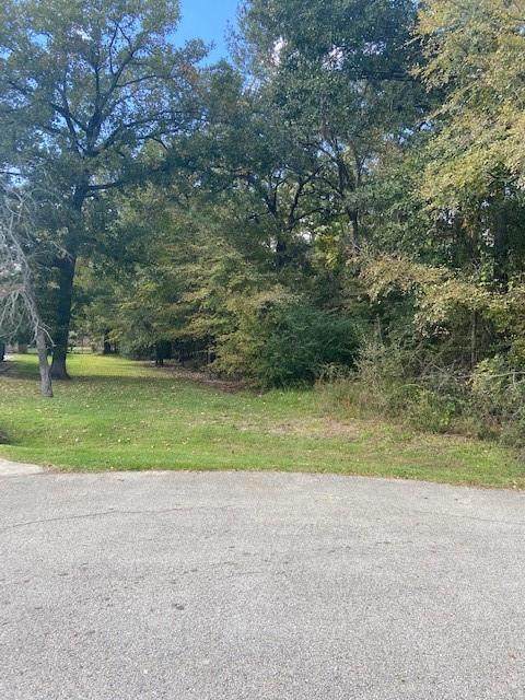 0000 Oak Hill Drive - Photo 1