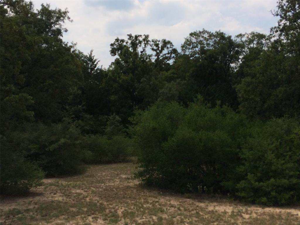9 Haley Creek Farms - Pr 2323 - Photo 1