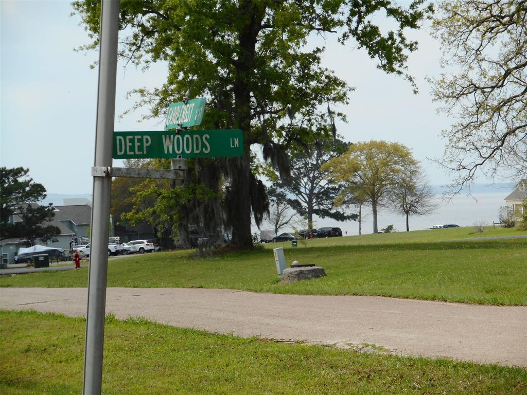 TBD Deepwoods Lane - Photo 1
