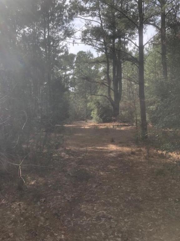 Tract 2 An County Road 193 - Photo 1