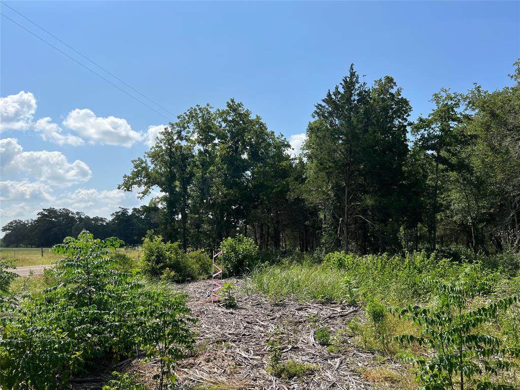TBD Fm 1697 - Tract 7 - Photo 1