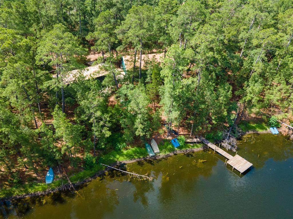230 Forest Trail - Photo 1