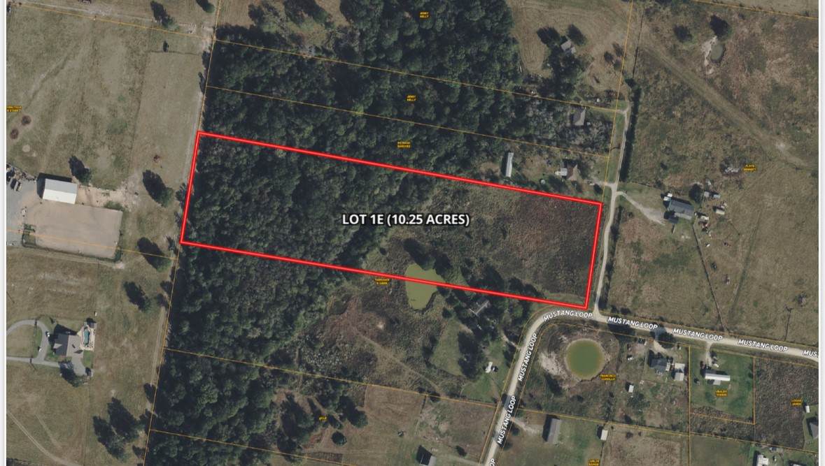 10.25 Acres Mustang Loop - Photo 1