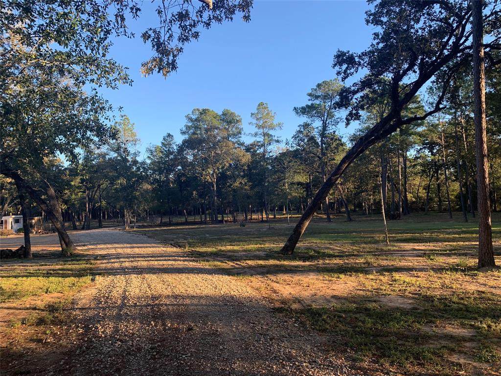 24102 Pinewood Valley Drive - Photo 1