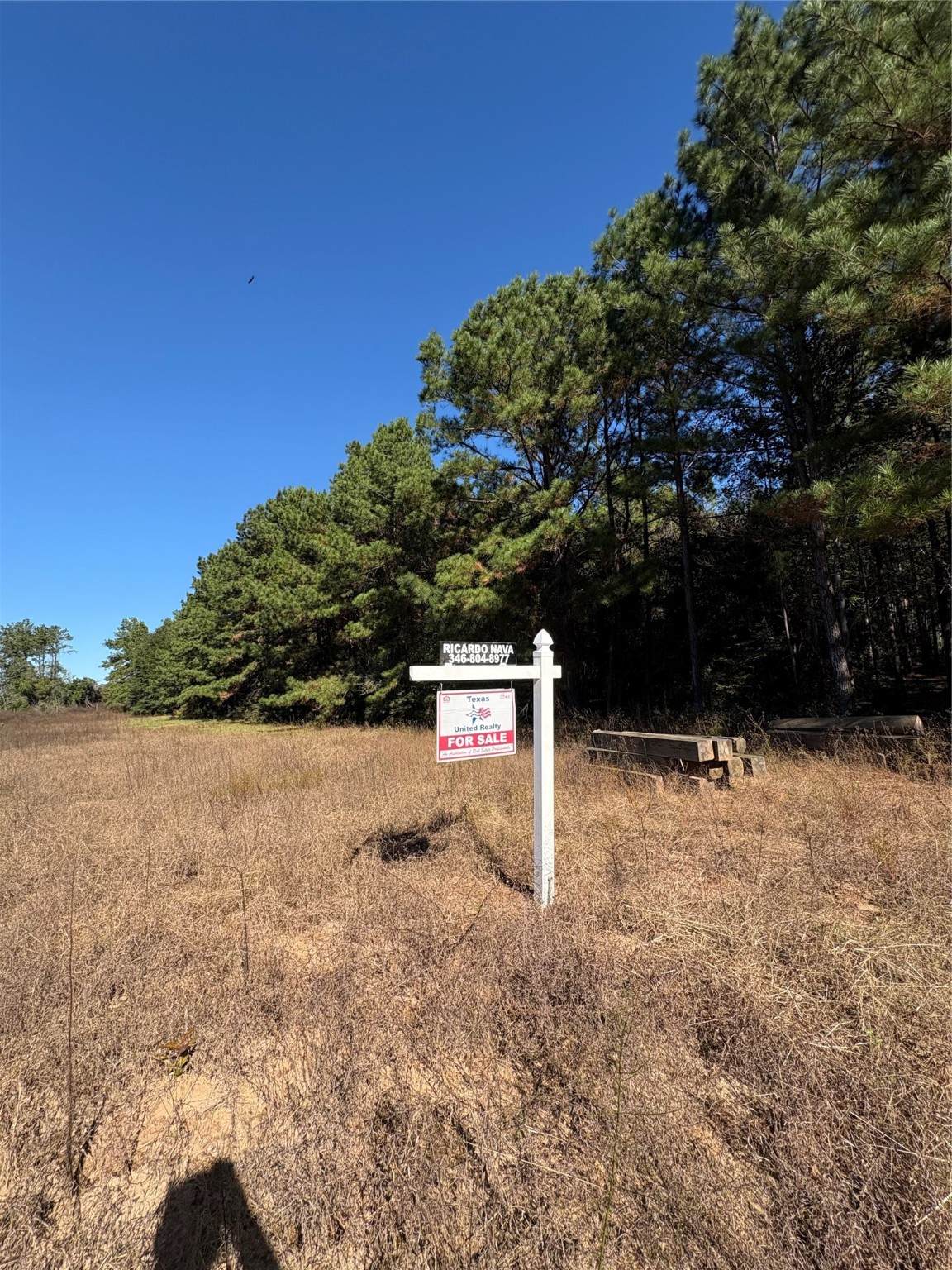 0 County Road 113 - Photo 1
