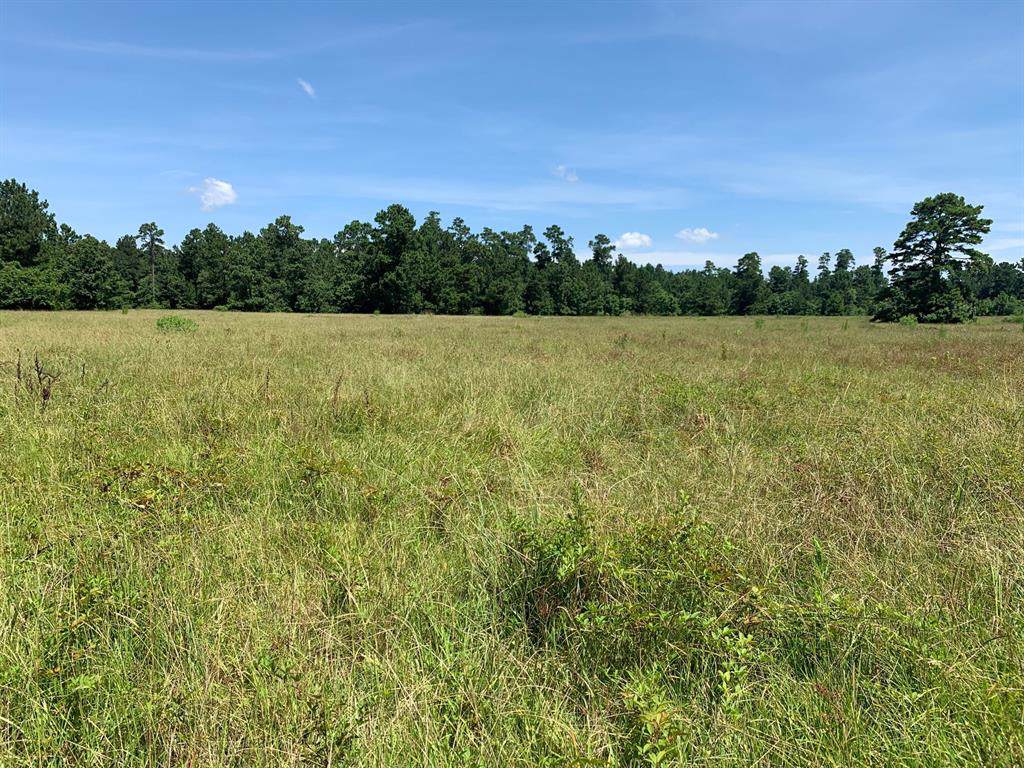 TBD Roy Webb Road - Photo 1