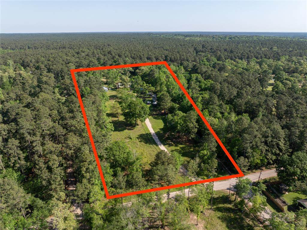 20272 Forest Woods Lane - Photo 1