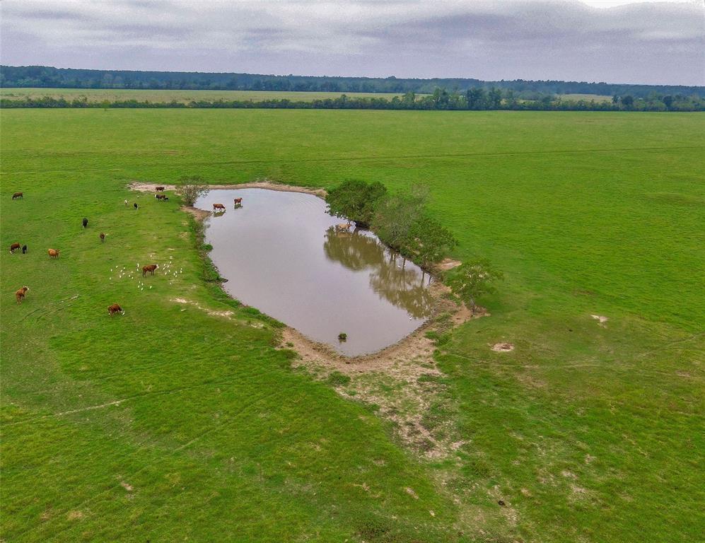 Tract 7 County Road 2285 - Photo 1