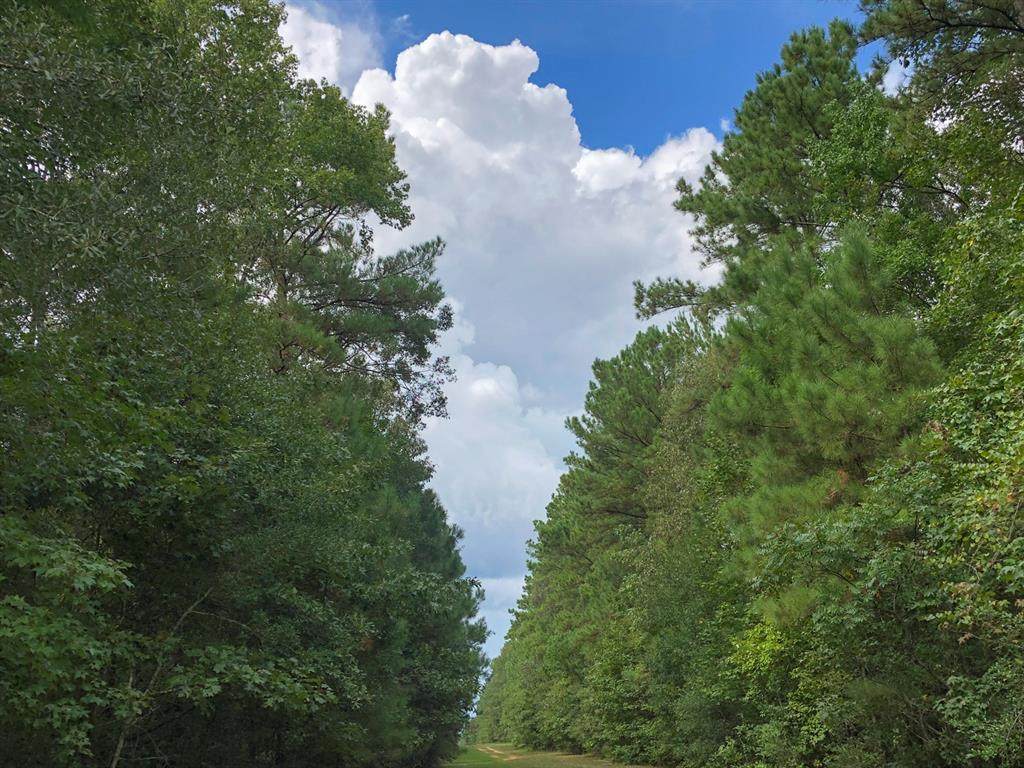 00 County Line Road - Photo 1