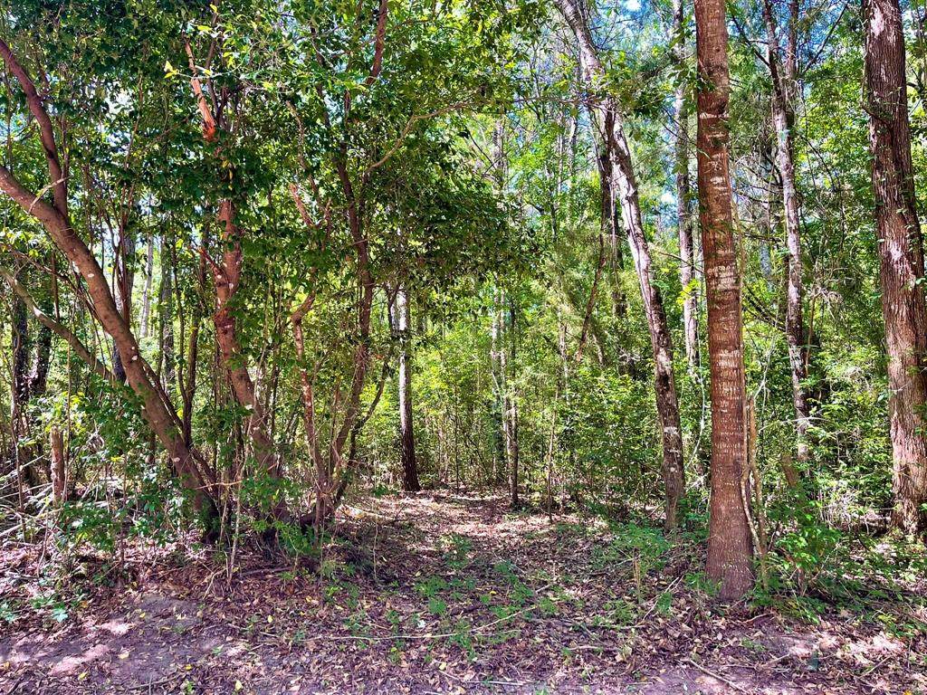 TBD Hendrix Road - Photo 1