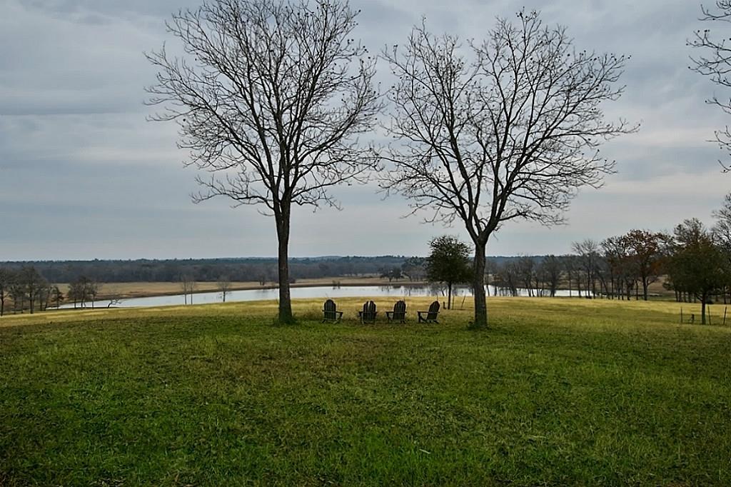 50 Pecan Hills - Photo 1