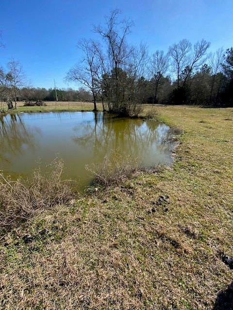 894 County Road 318 - Photo 1