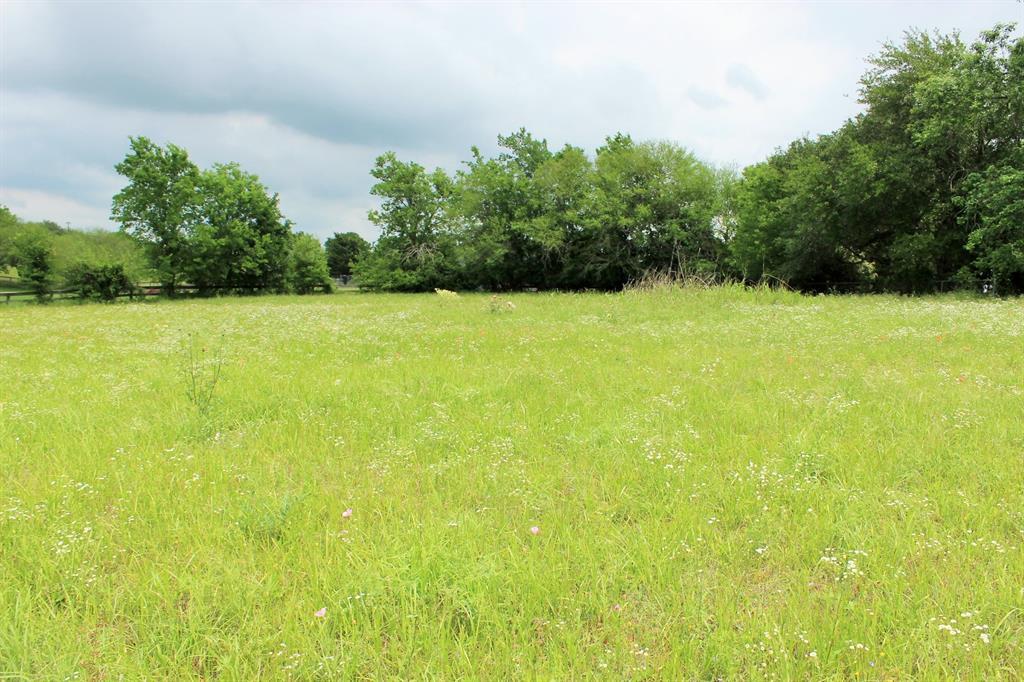 0000 Bluebonnet Blvd - Photo 1