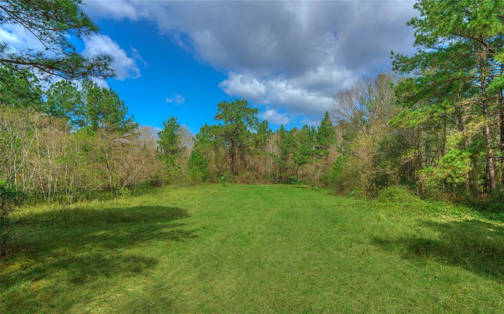 0002 Sapp Road - Photo 1