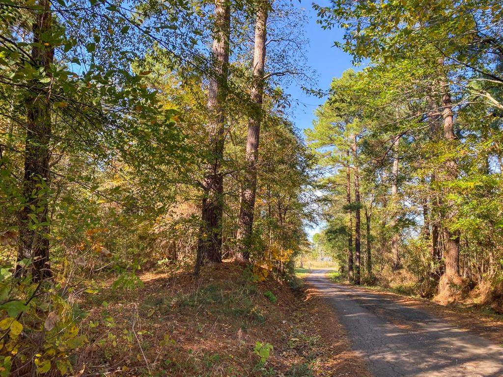0000 Lightfoot Road - Photo 1