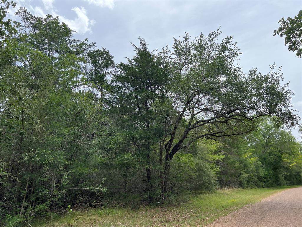 Tract 1 Krischke Road - Photo 1