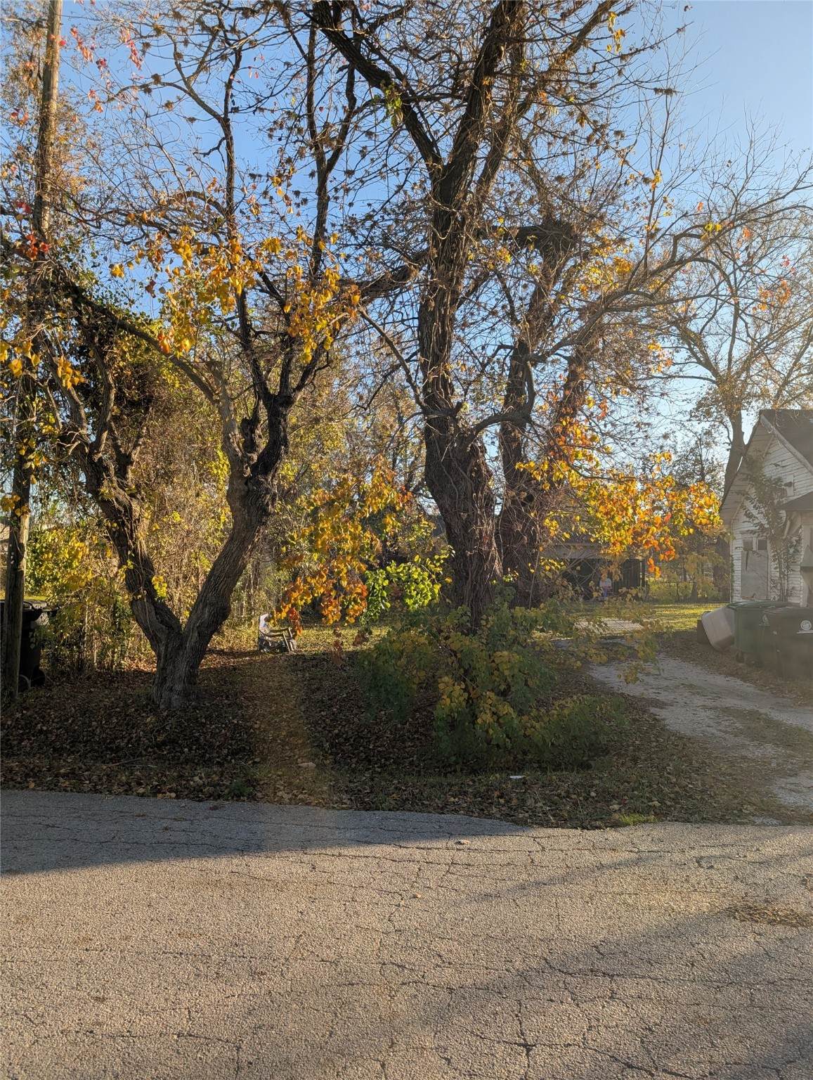 https://bt-photos.global.ssl.fastly.net/harmls/orig_boomver_1_11091207-2.jpg