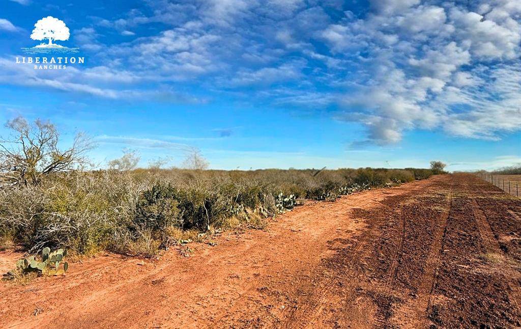0001 County Road 300 - Photo 1