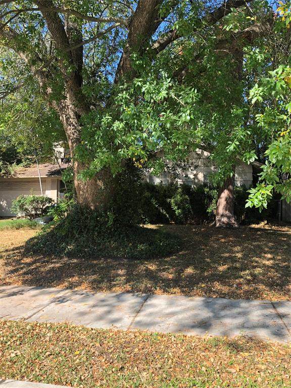 5336 Schumacher Lane - Photo 1