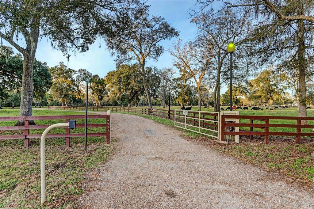 12955 Gubbels Road - Photo 1