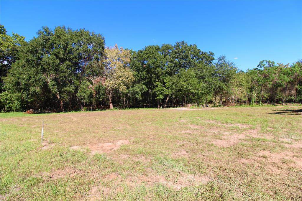 145 Machemehl Drive - Photo 1