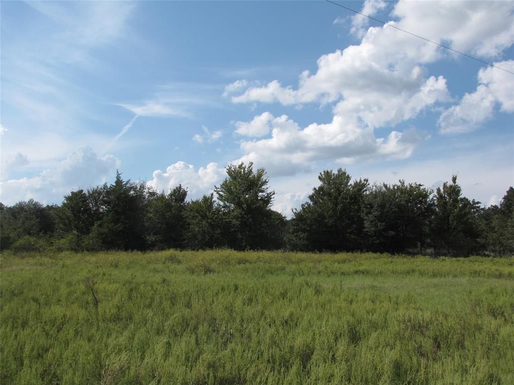15701 Arhopulos Road Road - Photo 1