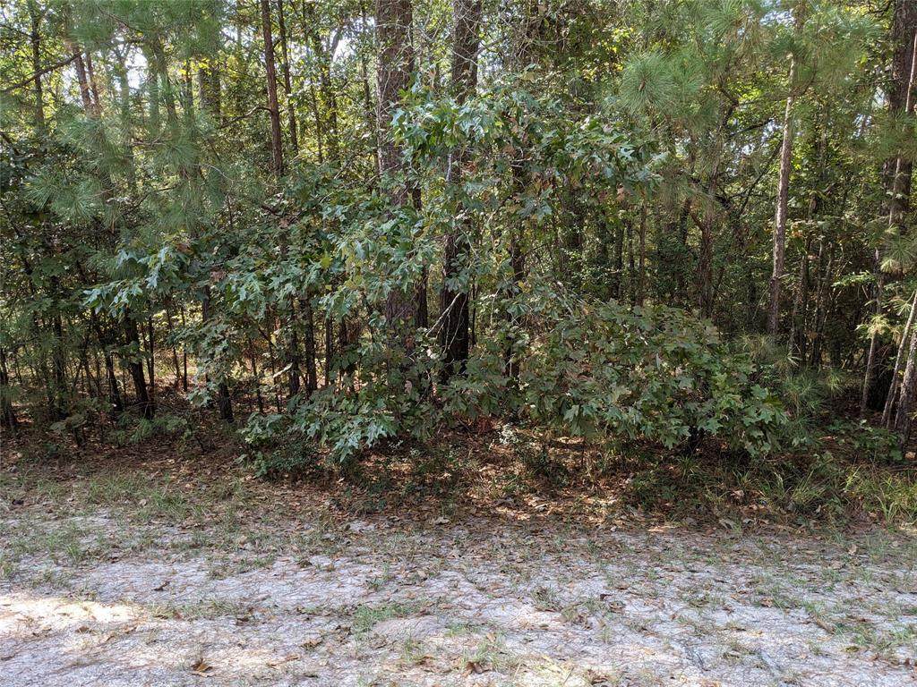 TBD Oakdale Drive - Photo 1
