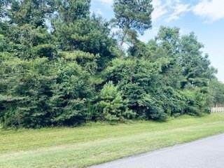 323 Commons Vista Drive - Photo 1