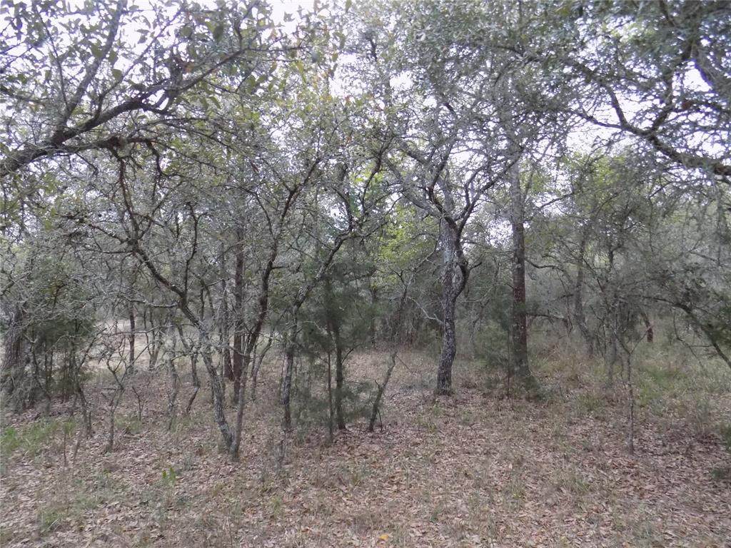TBD Yaupon Drive - Photo 1