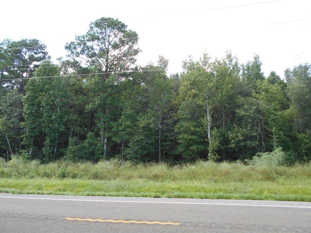 TBD Farm Road 770 - Photo 1