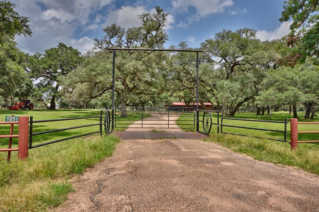 1051 County Road 175 - Photo 1