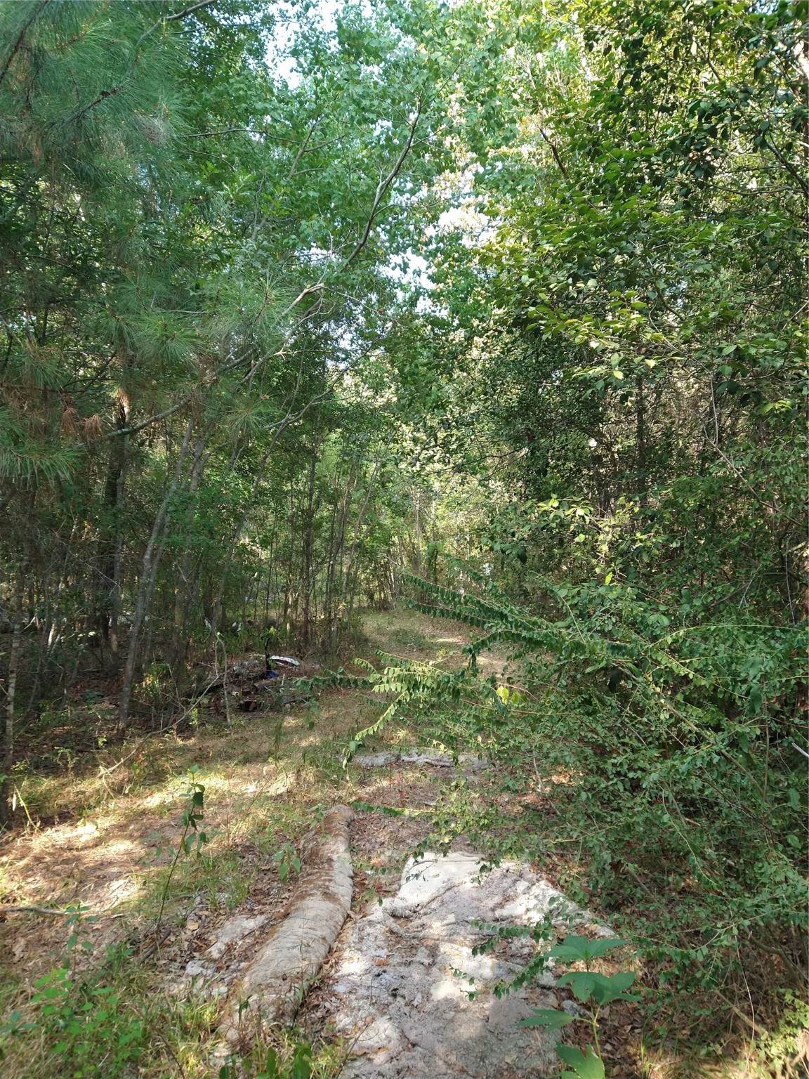 https://bt-photos.global.ssl.fastly.net/harmls/orig_boomver_1_11584505-2.jpg
