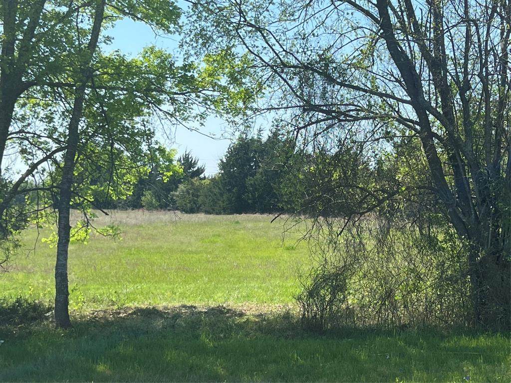 Lot #7 Fm 2562 Road - Photo 1