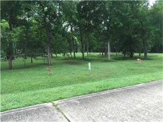 7910 Bentlake Circle - Photo 1
