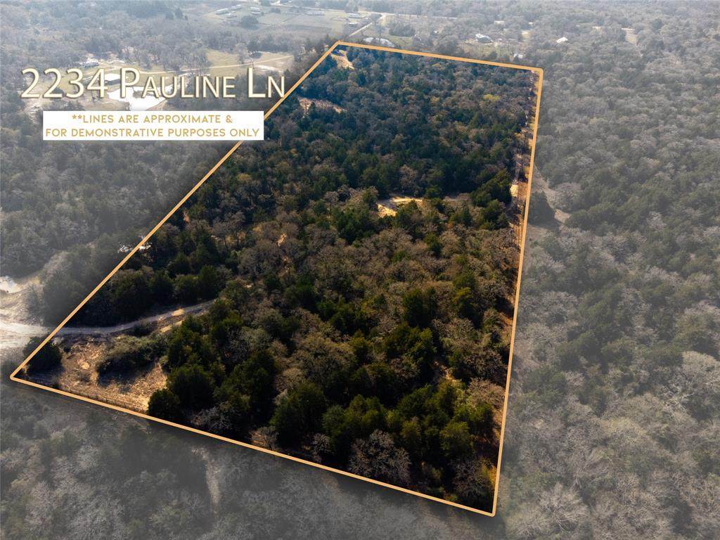 TBD 20 +/- ACRES Pauline Lane - Photo 1
