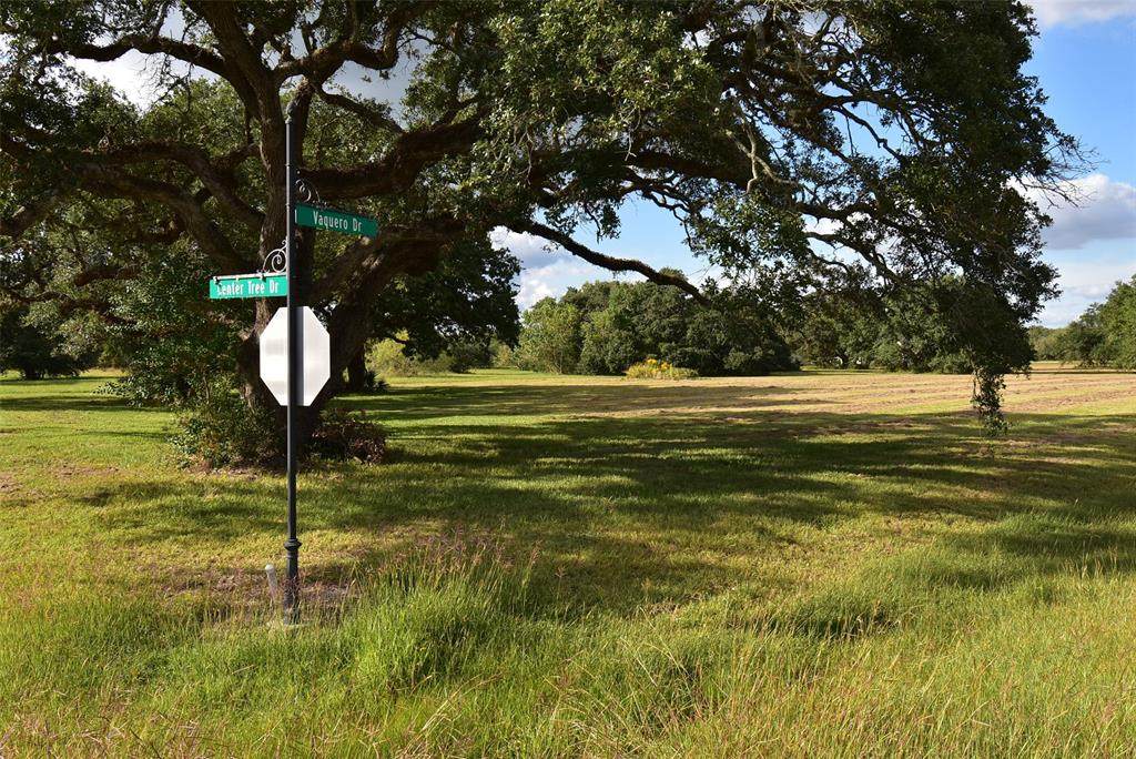 55 Center Tree Drive - Photo 1