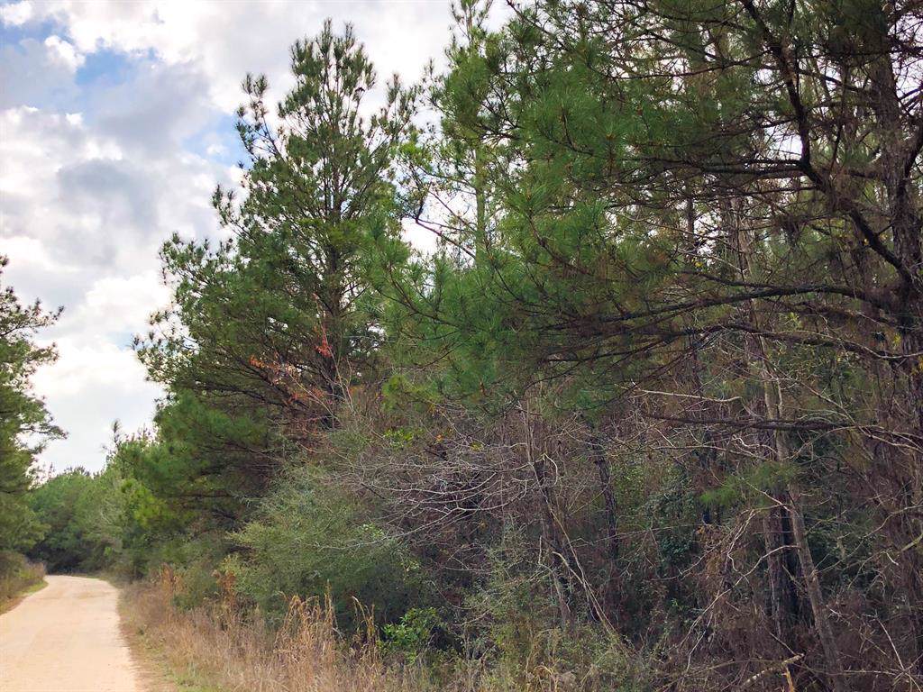 00 Tom Marsh Road - Photo 1