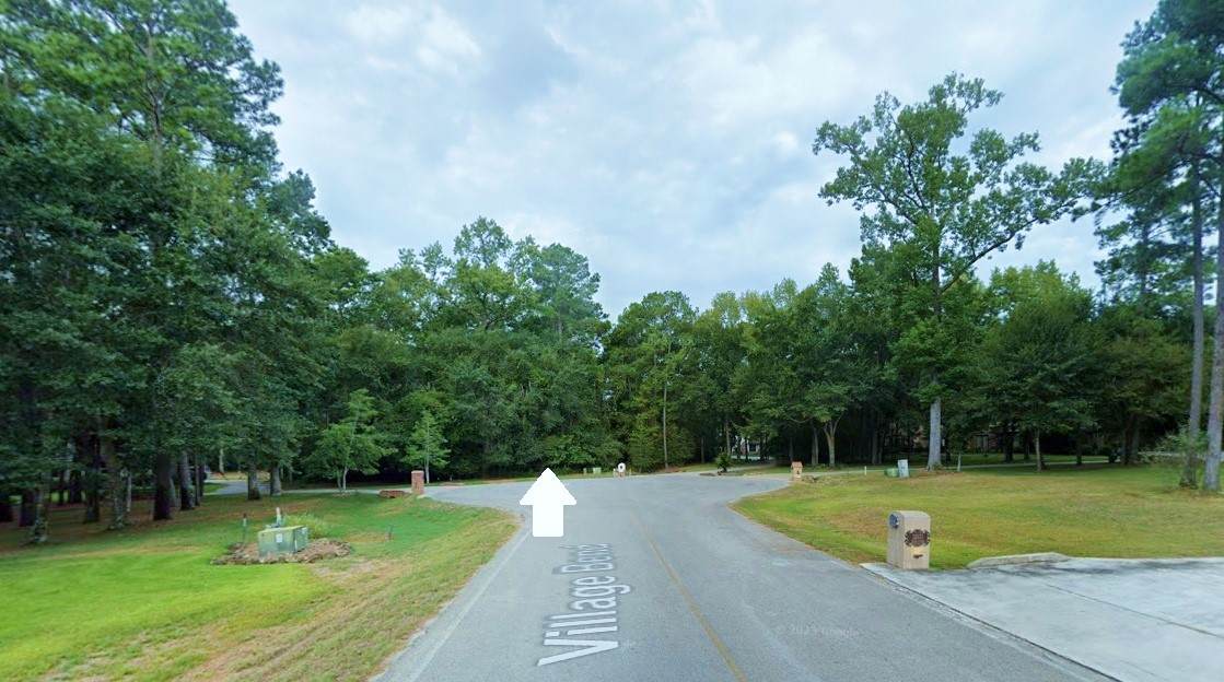 28812 Village Bend - Photo 1