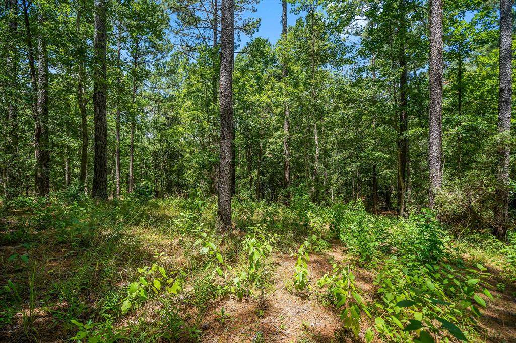 TBD 7 & 8 Cross Creek Trail - Photo 1