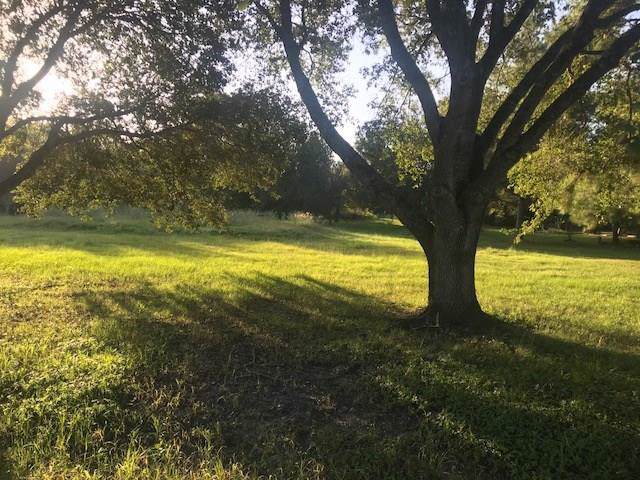 0 Pecan Wood Lane - Photo 1