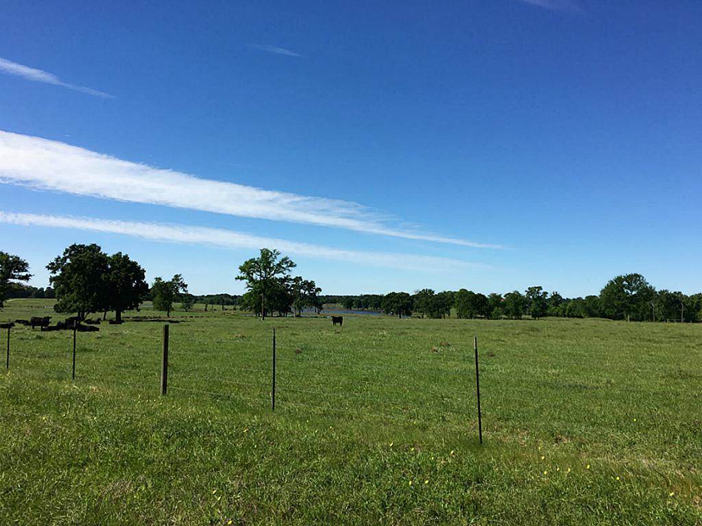 22805 Old Plantersville Road - Photo 1