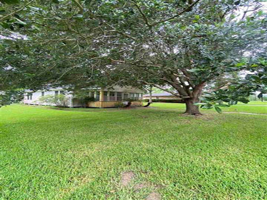 435 Ann Street - Photo 1