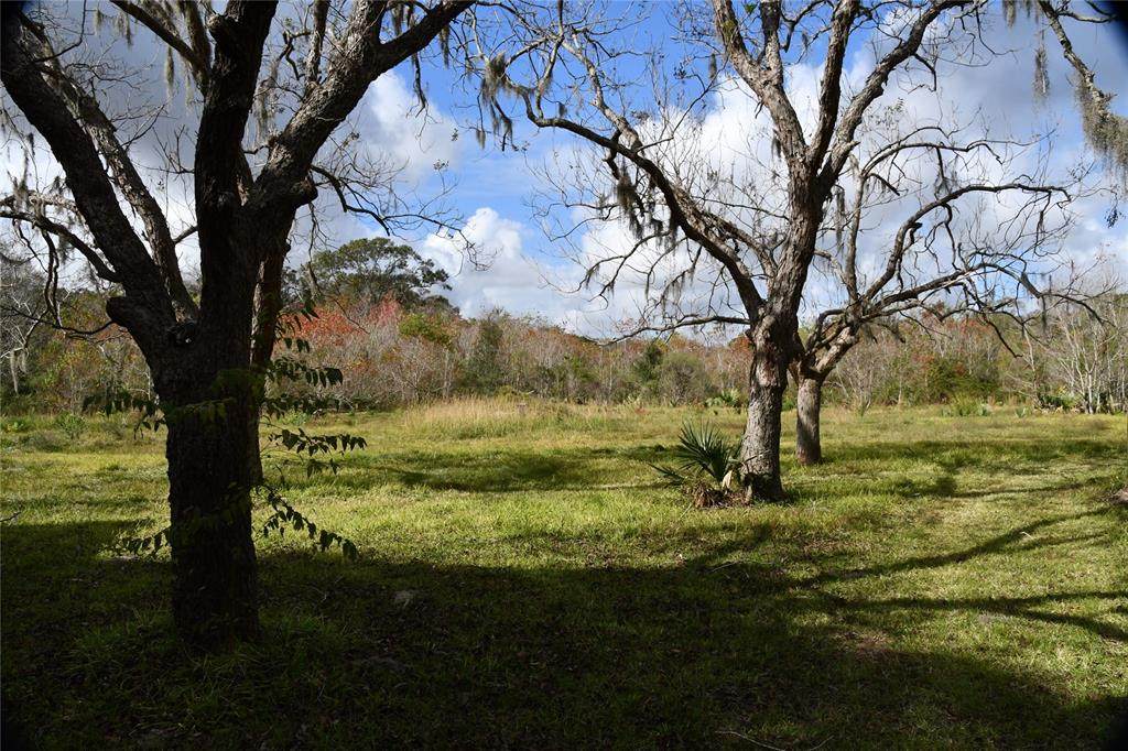 00 County Road 352 - Photo 1
