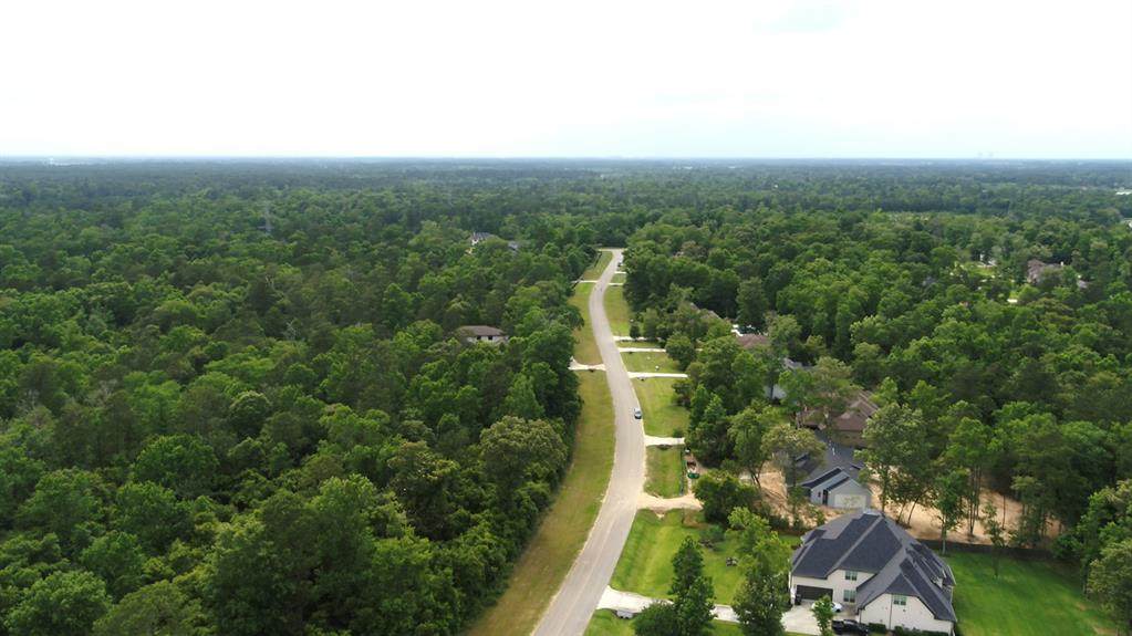 27338/27346 Shady Hills Landing Lane Landing - Photo 1