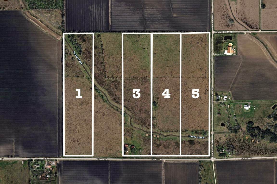 4439 Schultz Road - Photo 1