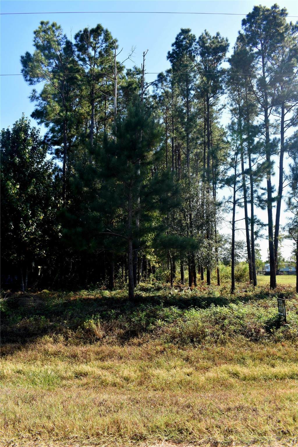 900 County Road 3545 - Photo 1