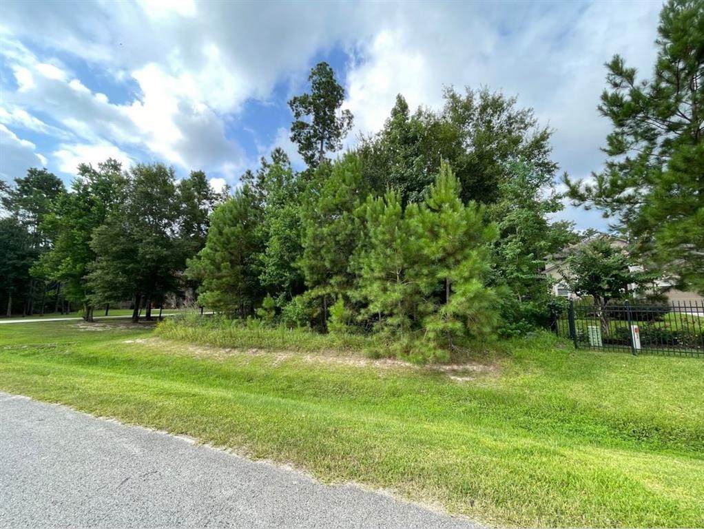 27711 Ossineke Drive - Photo 1
