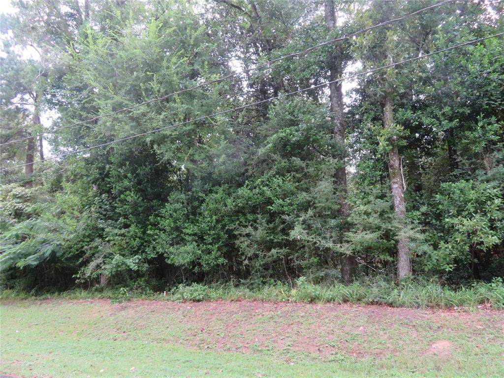 000 Hornbeam Drive - Photo 1