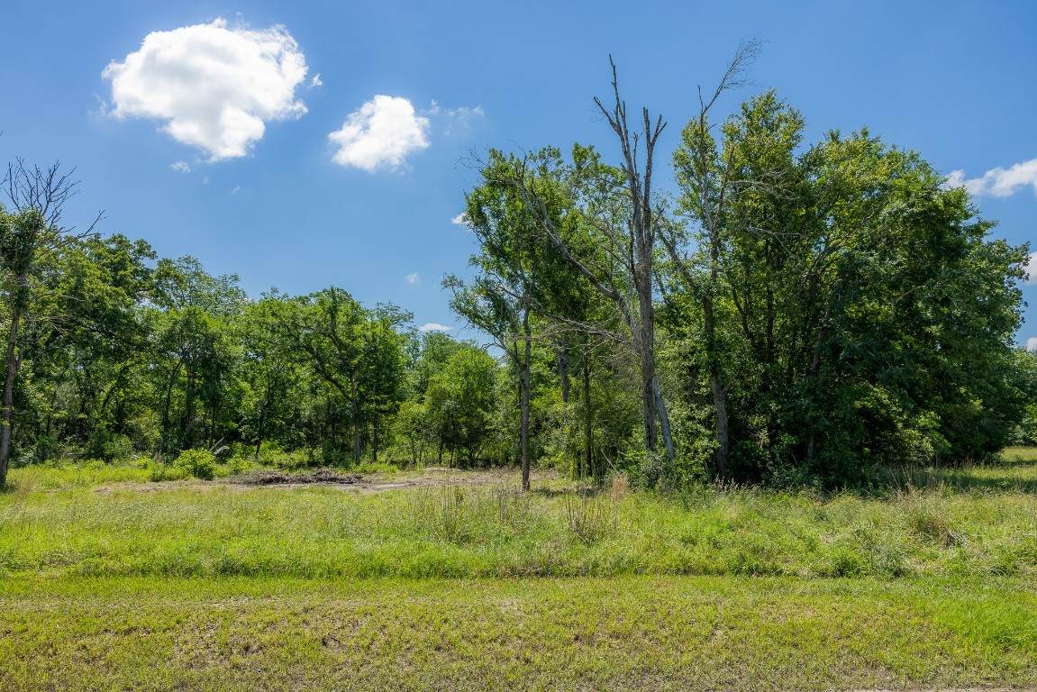 10649 Brushwood Cutoff - Photo 1